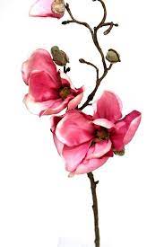 Wholesale 12 19 Magnolia Spray In Pink Floral By Wholesalefloral Flower Painting Flower Aesthetic Flower Drawing