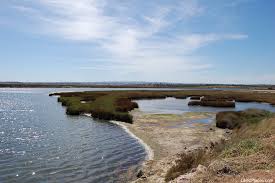 The silting of the guardiana river gradually cut castro marim off from the sea and its traditional industries of fishing, fish salting and boat building. 7 Spots To Visit In Castro Marim Algarve Likedplaces