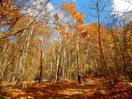 How far is woodstock from new york? Woodstock Ny In The Catskills