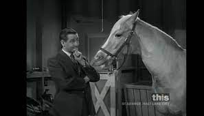 There's nothing to ruin during the quest, the point of the quest is cool just inspect horses in order they stay and listed to chat between npcs. A Horse Is A Horse Of Course