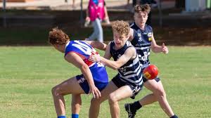 Cats fall short against Bulldogs