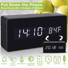 Bird That Sounds Like A Car Alarm At Night Alarm Clock Digital Clock Wood Alarm Clocks For Bedrooms Voice Command Led Small Desk Clock With Acrylic Screen Woode Small Desk Clock Alarm Clock Wooden Clock