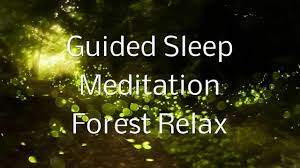 Guided Sleep Meditation Forest Relax By Jason Stephenson Sleep Meditation Bedtime Meditation Guided Meditation For Sleep