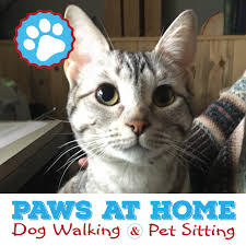 These pet sitting platforms make it very easy to create a free pet sitting profile that can be set up in a few minutes, enabling pet sitters to potentially start taking clients that very week. How Much To Pay A Pet Sitter Paws At Home