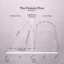 fertility hormone acupuncture kg