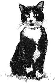Check spelling or type a new query. The Clinton Family Cat Socks Black White Drawing Etsy