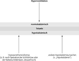 Maybe you would like to learn more about one of these? Https Www Thieme Connect De Products Ebooks Pdf 10 1055 B 0034 18985 Pdf