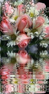 Maybe you would like to learn more about one of these? Prayers Please Hsn Community Flower Pictures Good Morning Flowers Gif Beautiful Rose Flowers