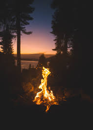 Maybe you would like to learn more about one of these? 100 Camp Fire Pictures Download Free Images On Unsplash