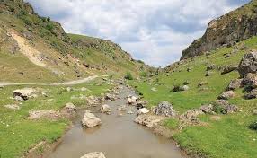 We did not find results for: DouÄƒ Povesti Draghistea Si Fetesti Revista Natura