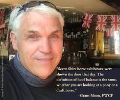 Fran Jurga`s Hoofcare + Lameness: Shire horses inspected for controversial  “couping” horseshoe practice at British horse shows in 2023