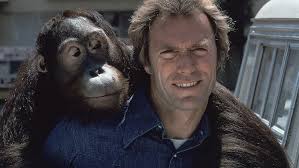 Every Which Way But Loose (1978)