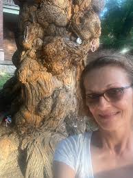 The Witches Tree” Old Louisville, Kentucky (07/27/22)