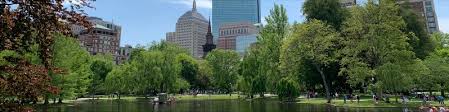 Job title client relationship manager banking, financial services job location minneapolis, mn, united states fulltime onsite job details client relationship. Yasmin Belabbas Corporate Employee Banking Investing Relationship Manager Bank Of America Linkedin