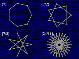 Image result for Polyspatha