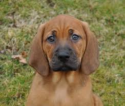 We did not find results for: Pin On The Sweetest Things