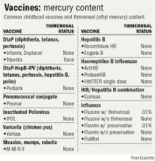 Anti Vaccine Myths Exposed