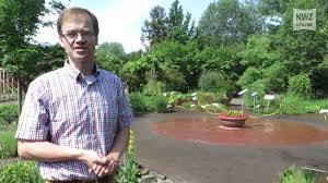 Botanischer garten oldenburg jetzt 1 bewertungen & 76 bilder beim testsieger holidaycheck entdecken und direkt hotels nahe botanischer garten oldenburg finden. Bienenprojekt Im Botanischen Garten Oldenburg Youtube