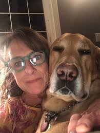 Happy Golden Retriever Day! Gilmore and Hudson 🦮