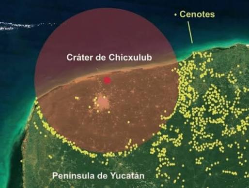 ✓ EL ASTEROIDE QUE EXTINGUIÓ A LOS DINOSAURIOS, DIÓ VIDA A LOS MAGNÍFICOS CENOTES DE YUCATAN. El cráter Chicxulub fue formado por el impacto de un asteroide hace 65.5 millones de años.