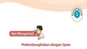 We did not find results for: Kunci Jawaban Tema 1 Kelas 3 Sd Halaman 175 176 178 Buku Tematik Subtema 4 Pembelajaran 5 Lengkap Sriwijaya Post