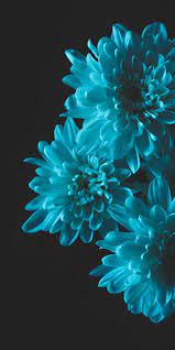 Pin On Wallpapers Phone