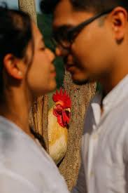 You've ve heard of Elf