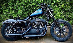 Harley Davidson Iron 1200 Custom Sportster Iron Custom Sportster Harley Davidson