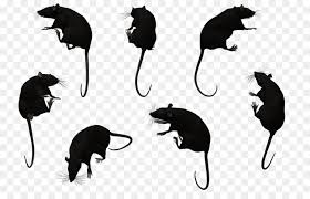 Cartoon Mouse Clipart Silhouette Mouse Cat Transparent Clip Art On this page presented 33+ rat silhouette photos and images free for download and editing. cartoon mouse clipart silhouette