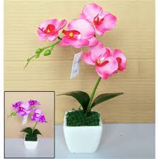 Supaya awet dan tahan lama, lebih baik gunakan bunga palsu. Naindo Anggrek Artifisial Plastik Pot Hiasan Ruang Tamu Kantor Bunga Hias Tinggi 25 Cm Shopee Indonesia