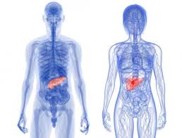 ___ common questions and concerns (sources numbered at the bottom) Chronic Pancreatitis Treatments Symptoms And Causes