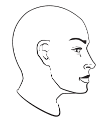 1 Drawing The Human Head Drawing The Human Head Drawing Templates Drawings