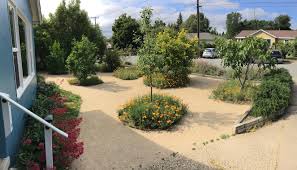 Check spelling or type a new query. New Landscaping Fruit Trees Poppies And Decomposed Granite Gardening