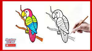 Ragam hias pengertian fungsi macam pola teknik contoh. Menggambar Objek Fauna Burung Macau Mudah Youtube