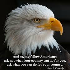 The 10 Best Quotes To Get You Feeling Patriotic Bald Eagle Types Of Eagles Eagle Pictures