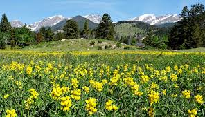 Rocky mountain tiny houses is pleased to share their new flagship build, the personal tiny house of the owners dubbed the san juan. The Ultimate Guide To Rocky Mountain National Park