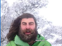 Kurtis, beard photo 6