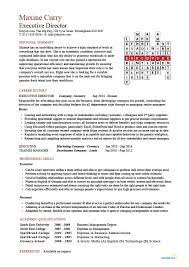 All of these cv templates are designed for south african job seekers and are easy to use and edit, even if you are not a computer wiz. Executive Director Resume Management Example Sample Job Description Finance Projects Work