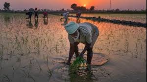Centre Wanted To Double Farmers' Income By 2022. What Is The Reality? |  Outlook India