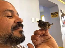 UAE must not extradite political commentator to Egypt, where he would face  torture