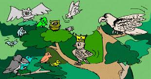 king of the birds pitara kids network king of the birds pitara kids network