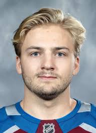 Player photos for the 2016-17 HV71 Jr. at hockeydb.com