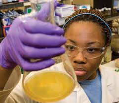 Annual Report Edition