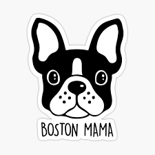 Maybe you would like to learn more about one of these? Boston Terrier Gifts Merchandise Redbubble