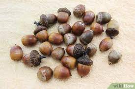 You'll want to use a cookie sheet with a lip so none of the acorns roll off. How To Dry Acorns For Crafts 8 Steps With Pictures Wikihow