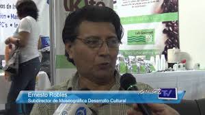 Entrevista a Ernesto Robles, Subdirector de Museográfica Desarrollo Cultural