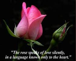 Maybe you would like to learn more about one of these? Flowers Are Silent Words Of Heart Flower Quotes Rose Quotes Flower Quotes Love