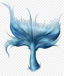 Mermaid Tail Mermaid Tail Mermaid Tail Drawing Mermaid Drawings Mermaid Illustration
