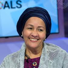 How renewables can power SDGs and equality in Africa