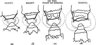 The lamps consisted of two carbon rods with a charge running between them that produced an arc of light in the space between the rods. The Hissing Of The Electric Arc As Presented To The Institution Of Download Scientific Diagram